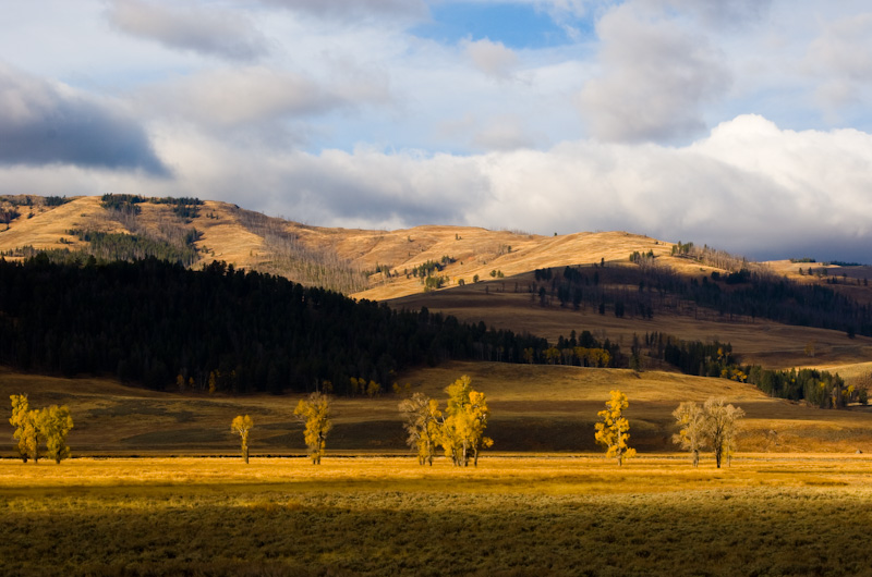 The Lamar River Valley